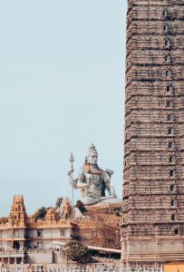 pexels-manojmanohar-18490263