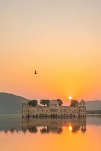 pexels-rj-singh-3558068-5355764