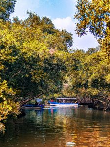 pexels-umarandrabi-30288086